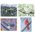 Songbird All-Occasion Boxed Notecard Set | 4 Card Set