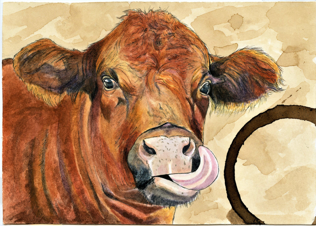 Farm Animals All-Occasion Blank Boxed Notecard Set | Chicken, Cow, Pig and Sheep Cards