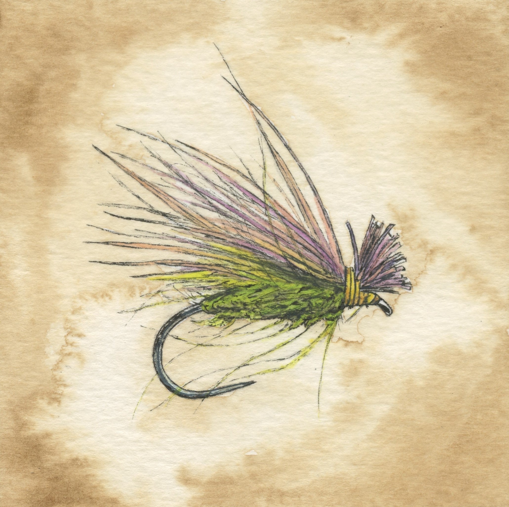 Fly Fishing All-Occasion Blank Notecard Set | 4 Card Set