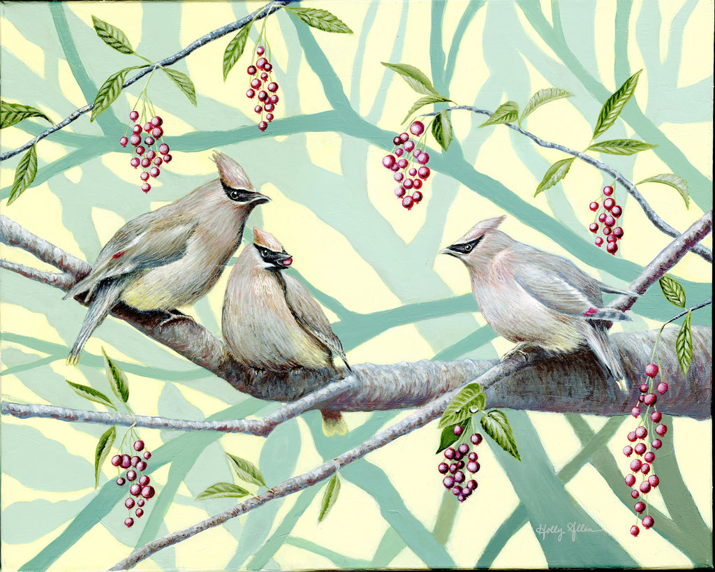 Songbird All-Occasion Boxed Notecard Set | 4 Card Set