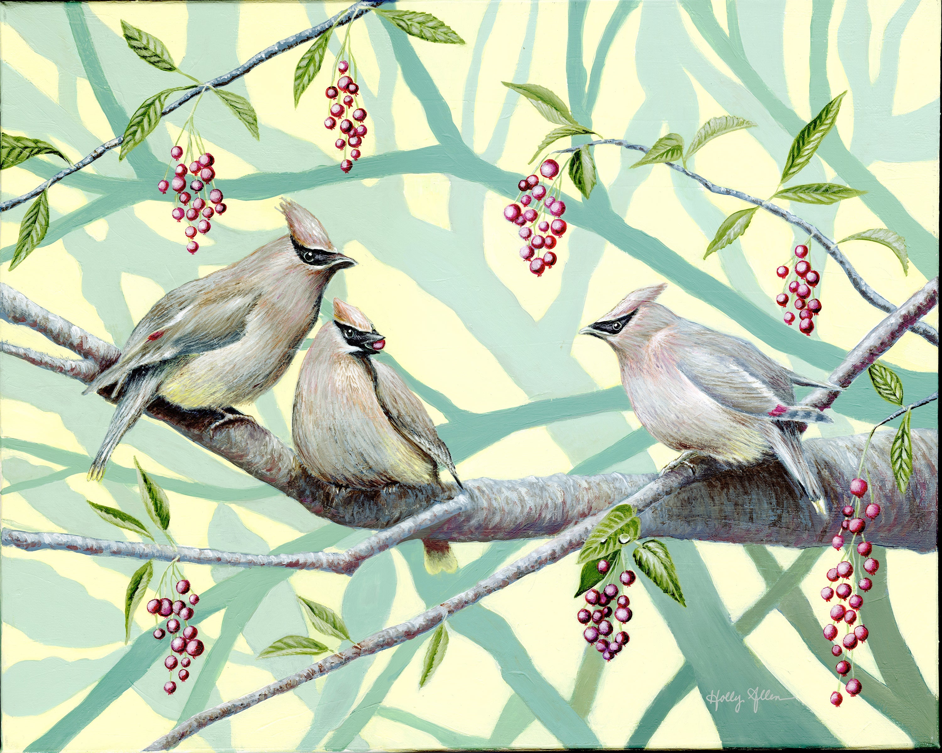 Songbird All-Occasion Boxed Notecard Set | 4 Card Set