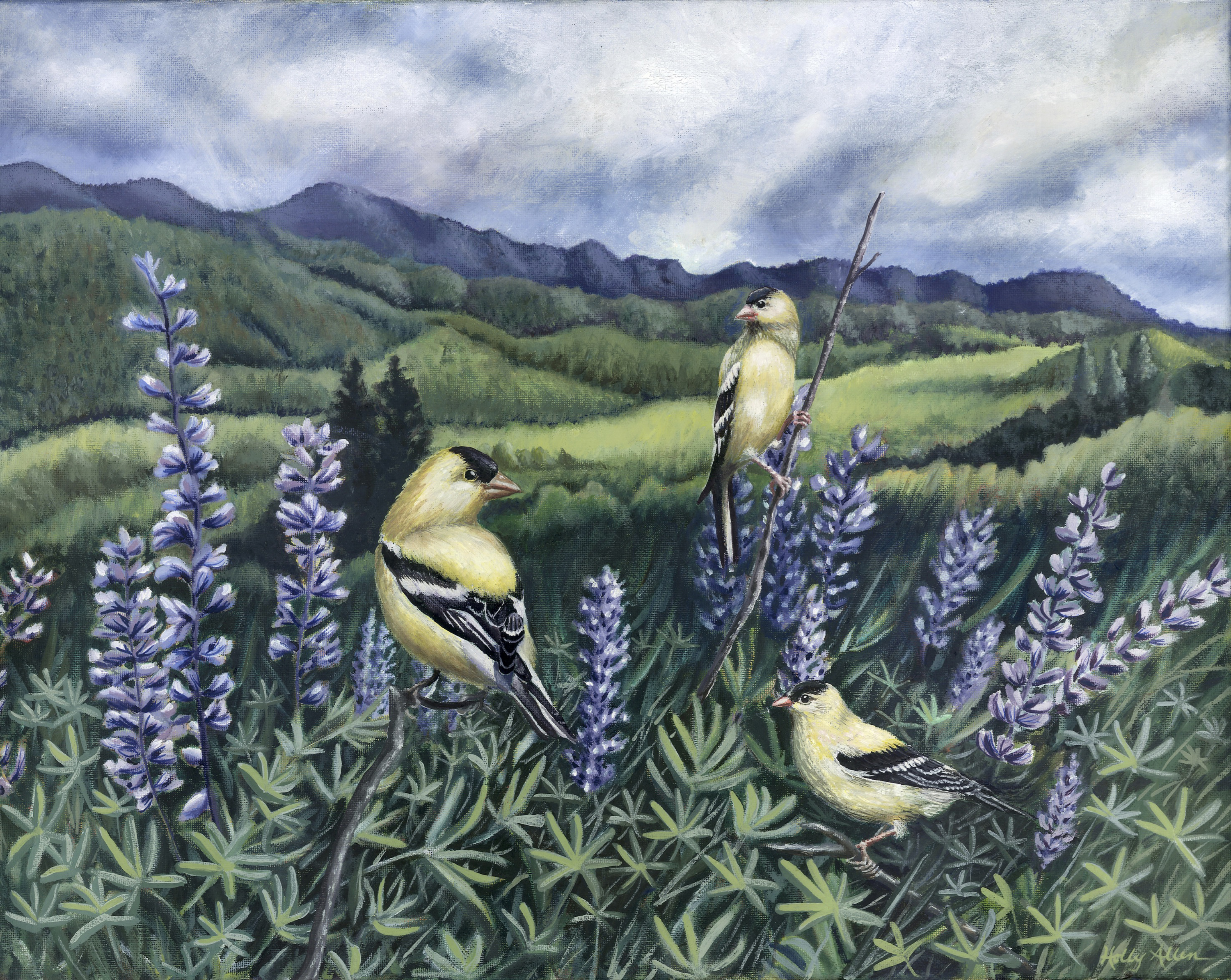 Songbird All-Occasion Boxed Notecard Set | 4 Card Set