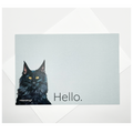 Flat Note Cards with Black Cat Artwork | Set of 8 Cards & Envelopes