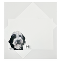 Flat Note Cards with Doodle Dog Art | Set of 8 Cards & Envelopes