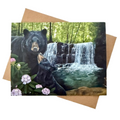 Black Bear Family Blank Notecard | Single Card or Set of 4, 8 or 20