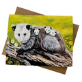 Opossum Family All-Occasion Blank Notecard
