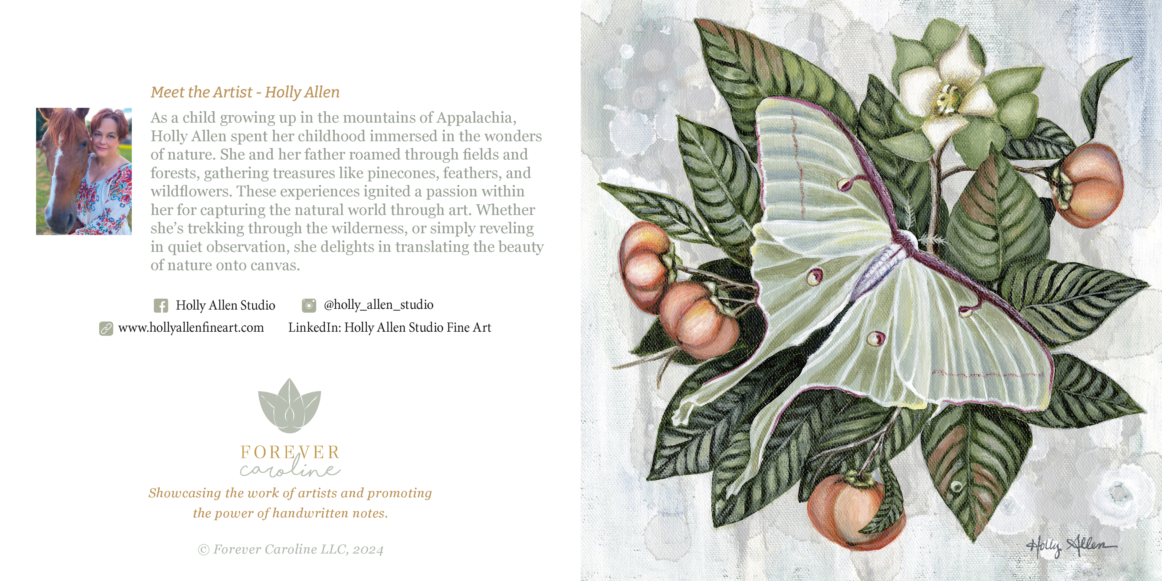 Luna Moth & Hummingbird Moth Elegant Notecards | 4 Card Set