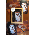 Owl All-Occasion Boxed Notecard Set | 4 Card Set