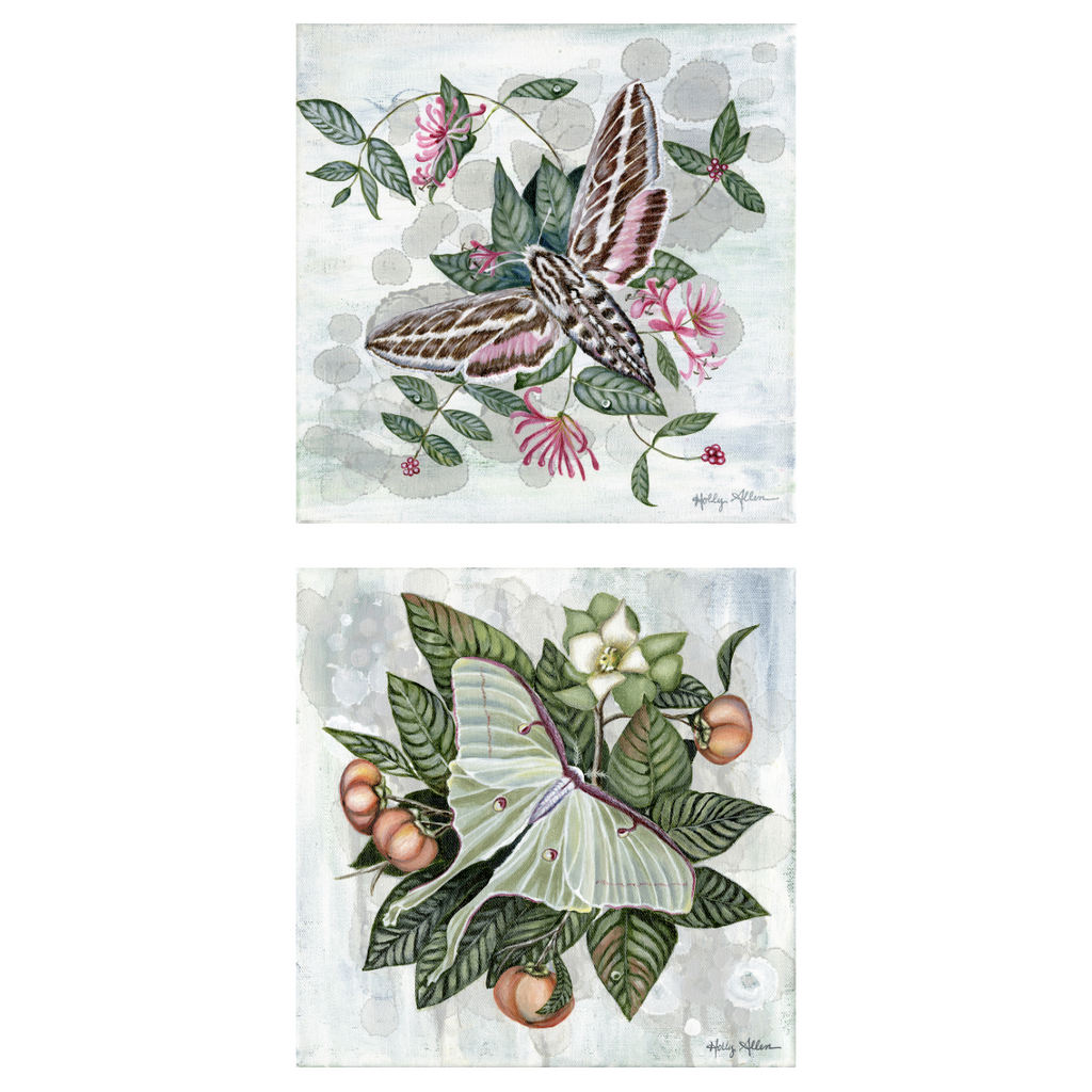 Luna Moth & Hummingbird Moth Elegant Notecards | 4 Card Set